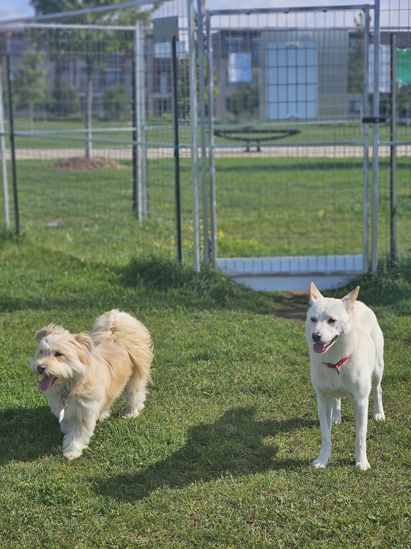 Aaniin Community Dog Park dog park in Markham, Ontario