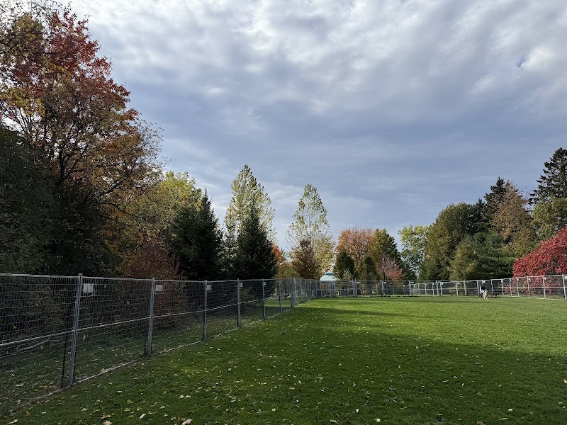 Victoria square Pop up dog park dog park in Markham, Ontario
