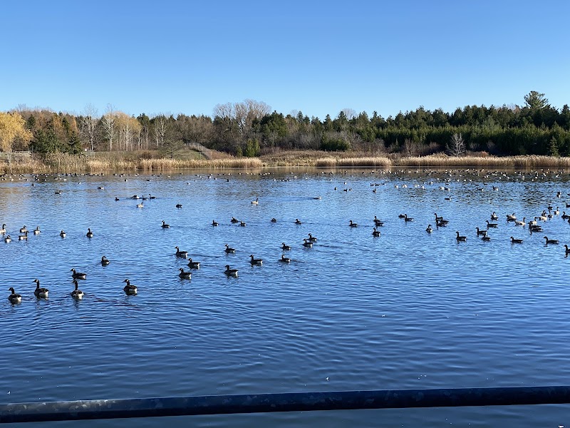RougeView Dog Park dog park in Whitchurch-Stouffville, Ontario