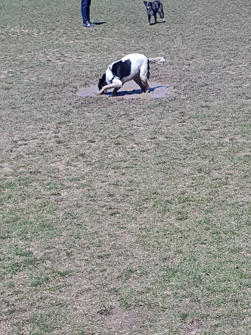 Concord Thornhill Regional Park Off-Leash Dog Park dog park in Vaughan, Ontario