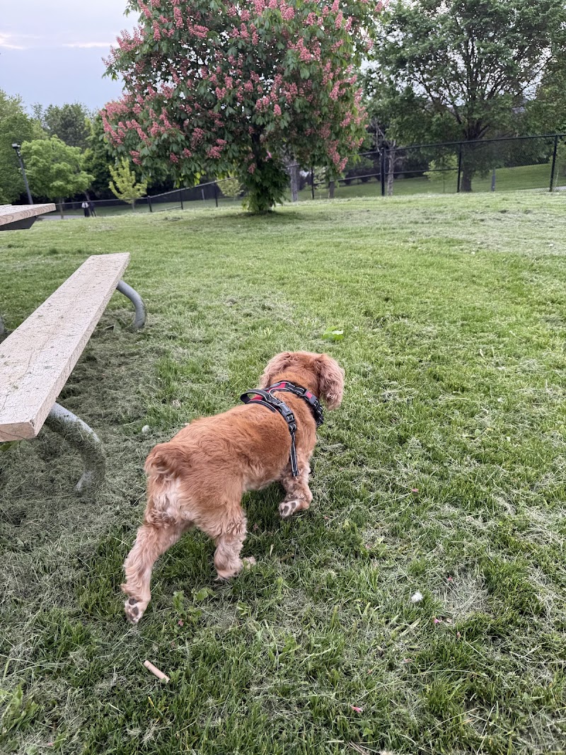 Mackenzie Glen District Park Off-Leash Dog Park dog park in Vaughan, Ontario