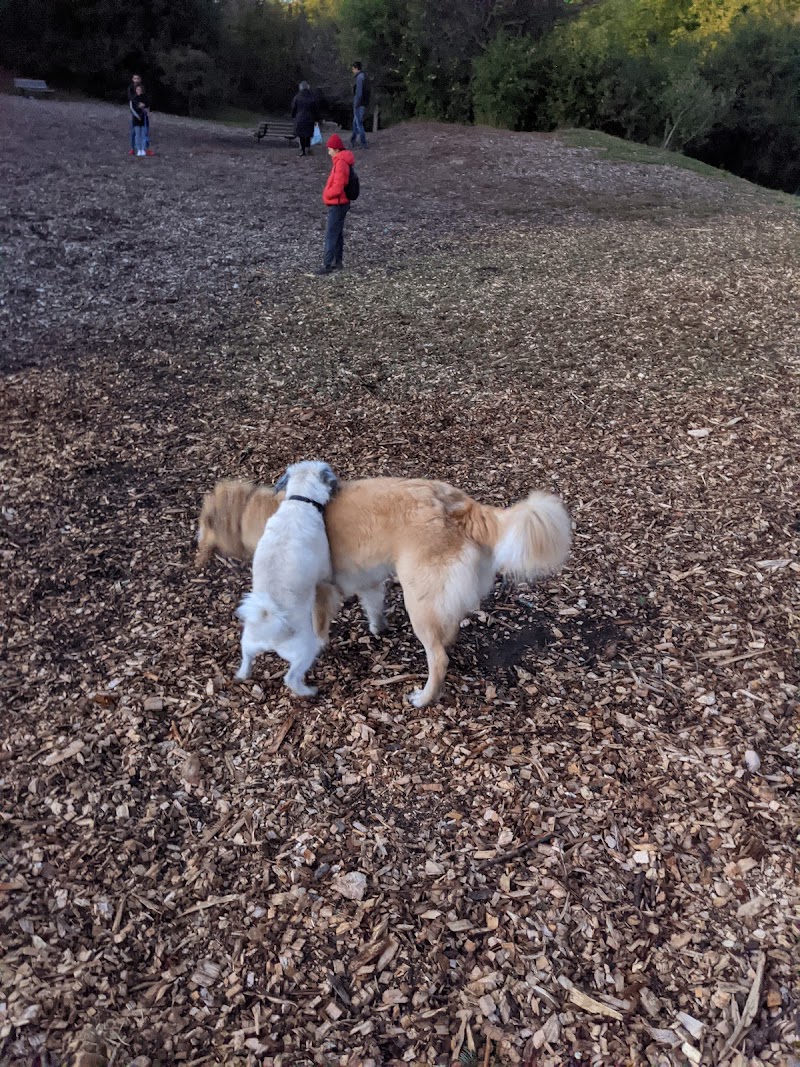 Off Leash Dog Area dog park in Richmond Hill, Ontario