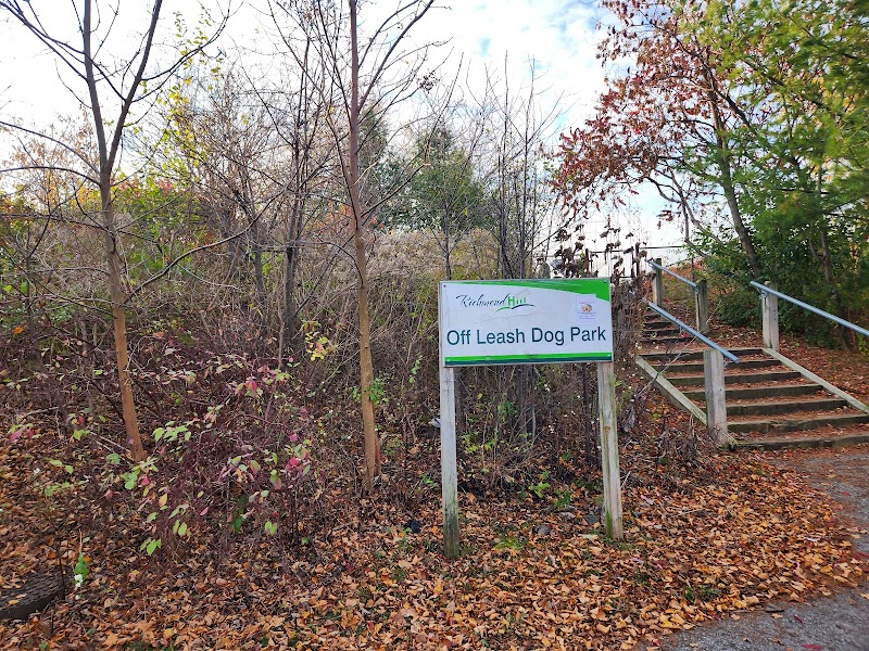 Tower Hill Dog Park dog park in Richmond Hill, Ontario