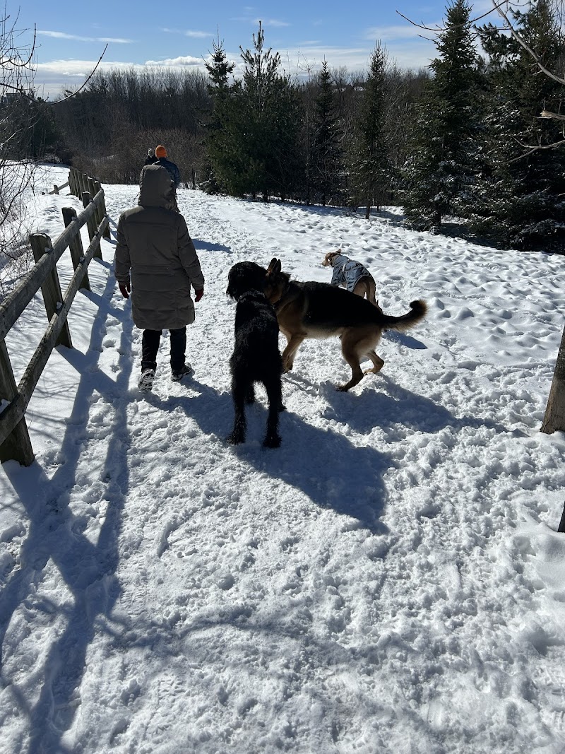 Tower Hill Dog Park dog park in Richmond Hill, Ontario