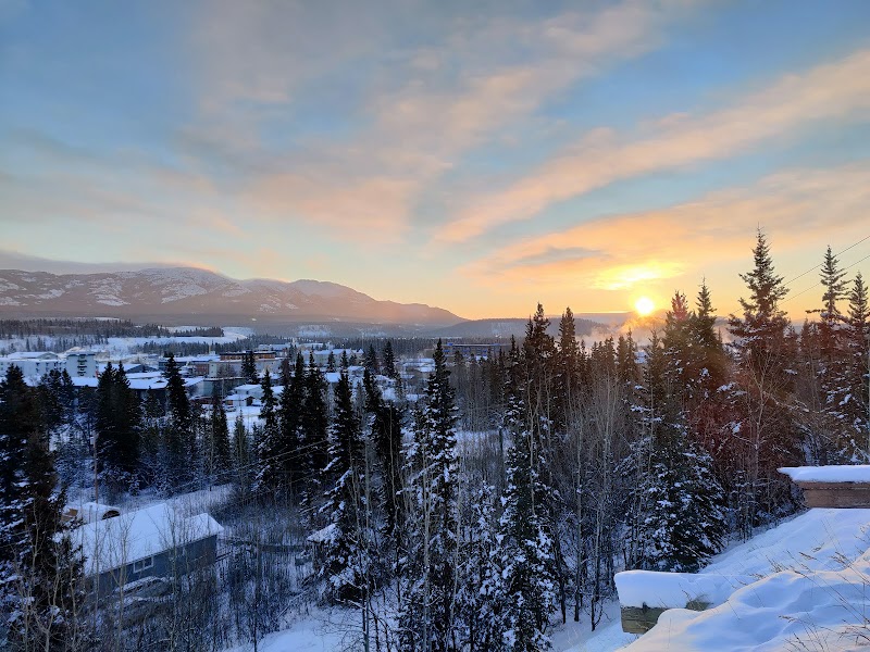 Canine Bluffs Off Leash Park dog park in Whitehorse, Yukon