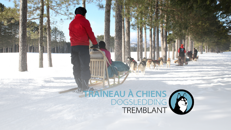 Dog Sledding dog park in Mont-Tremblant, Quebec