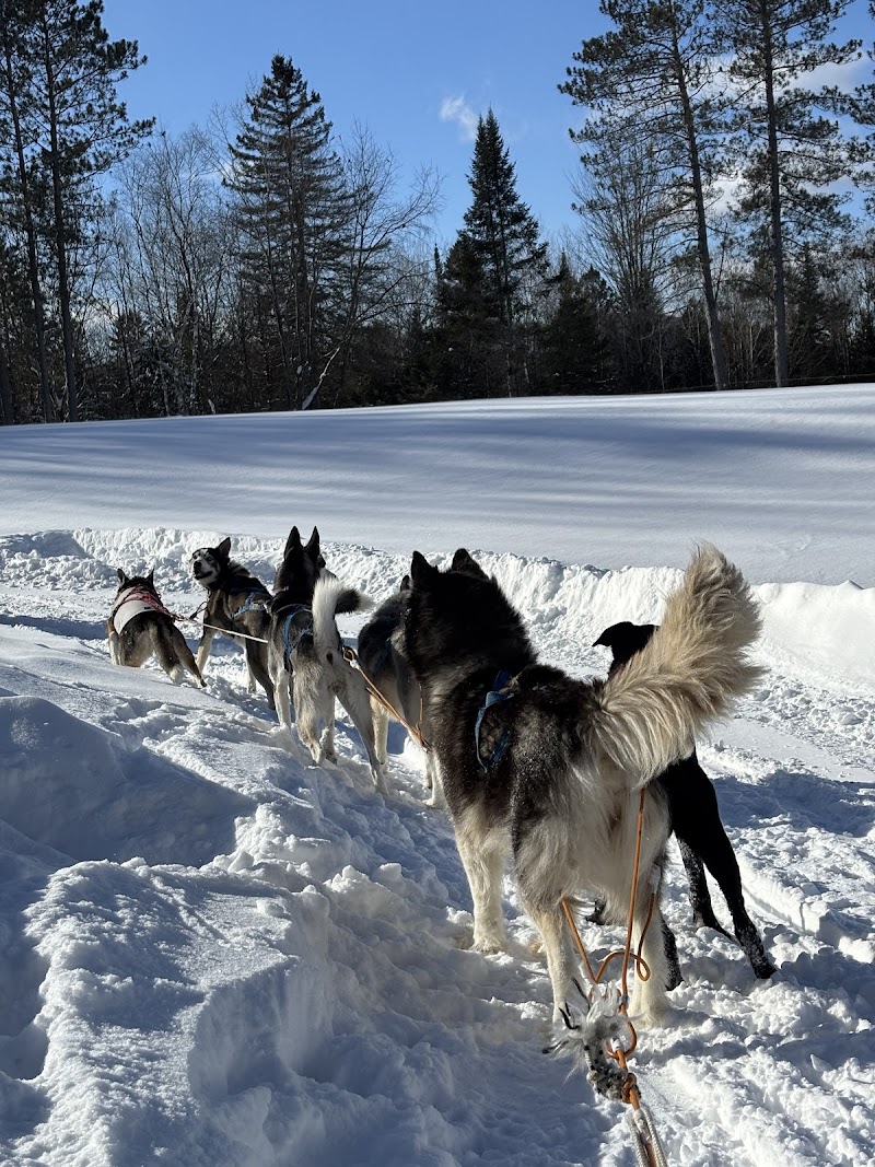 Dog Sledding dog park in Mont-Tremblant, Quebec