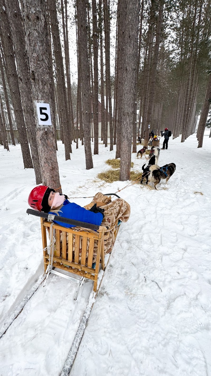 Dog Sledding dog park in Mont-Tremblant, Quebec
