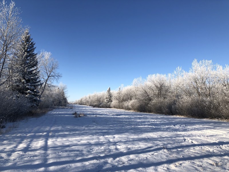 Southwest Dog Park dog park in Saskatoon, Saskatchewan