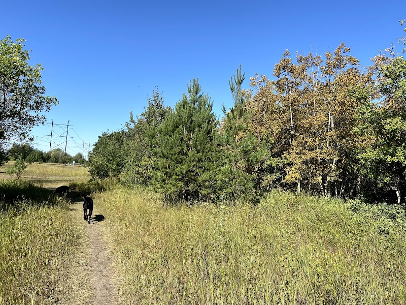 Southwest Dog Park dog park in Saskatoon, Saskatchewan