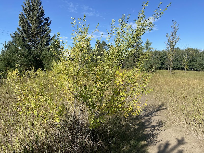 Southwest Dog Park dog park in Saskatoon, Saskatchewan