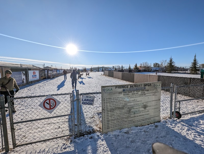 Central Bark Dog Park dog park in Spruce Home, Saskatchewan