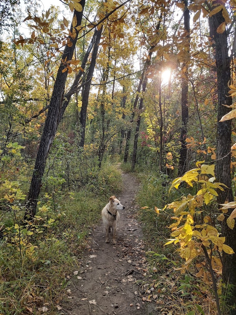 Chief Whitecap Park dog park in Corman Park No. 344, Saskatchewan