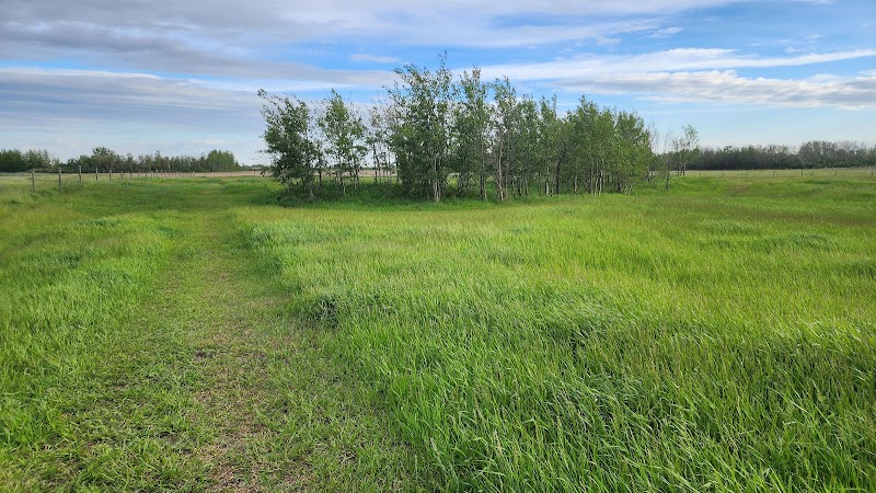 Sirius Unleashed Dog Sports - Private Off-Leash Park dog park in Dalmeny, Saskatchewan