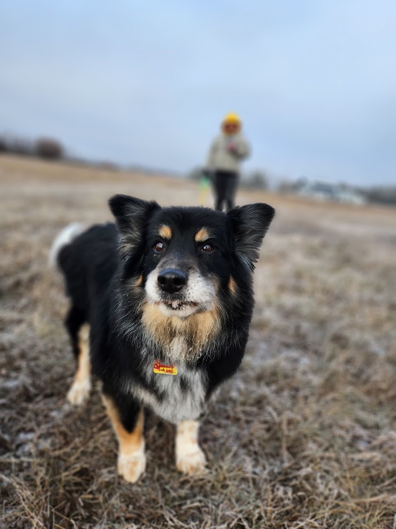 Sirius Unleashed Dog Sports - Private Off-Leash Park dog park in Dalmeny, Saskatchewan