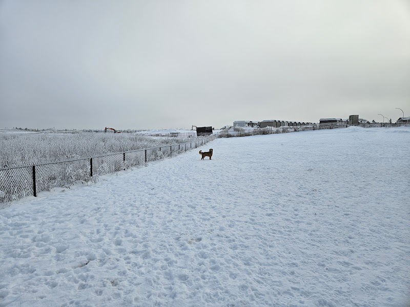 Paul Mostoway Dog Park dog park in Saskatoon, Saskatchewan