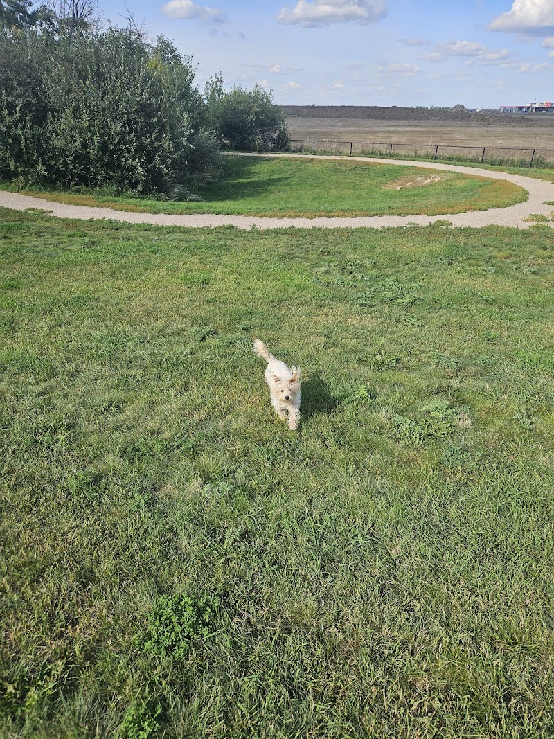Paul Mostoway Dog Park dog park in Saskatoon, Saskatchewan