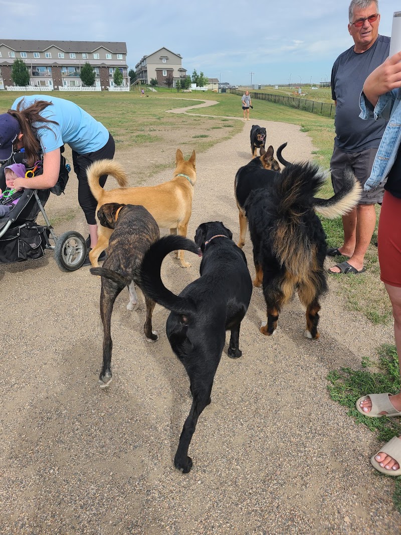 Paul Mostoway Dog Park dog park in Saskatoon, Saskatchewan