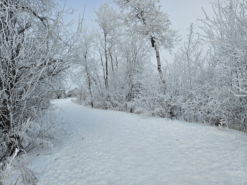 Paul Mostoway Dog Park dog park in Saskatoon, Saskatchewan