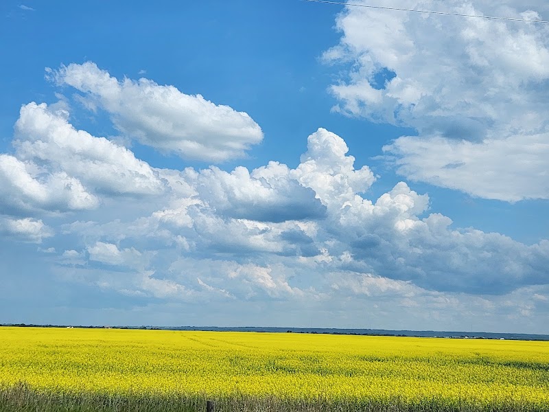 Warman Offleash Area dog park in Warman, Saskatchewan