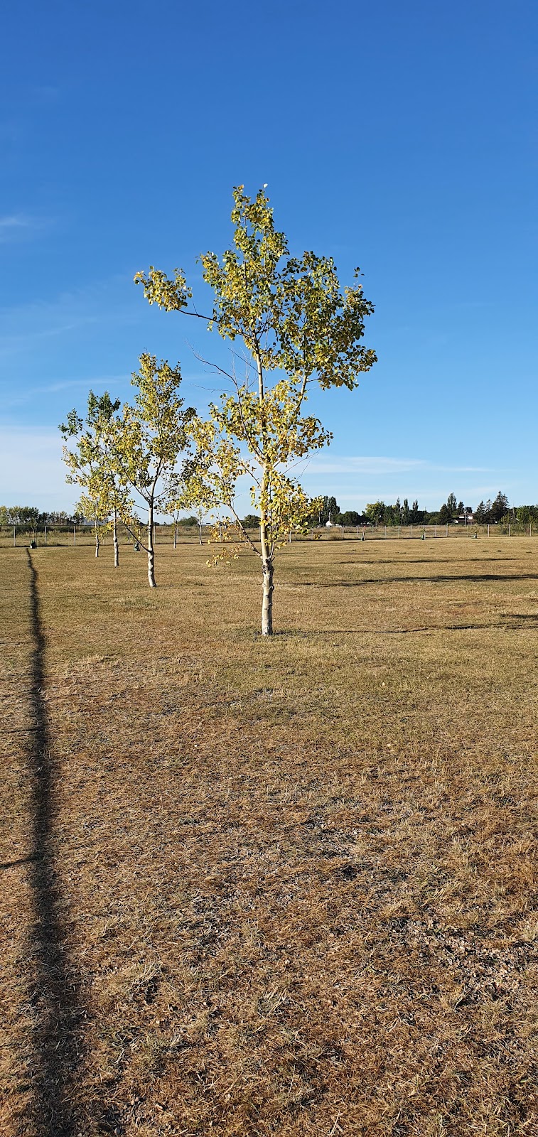 Warman Offleash Area dog park in Warman, Saskatchewan