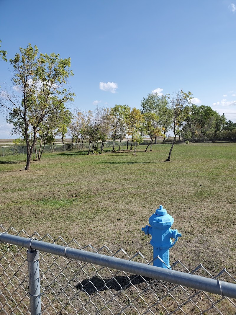 The Bark Park dog park in Rosetown, Saskatchewan