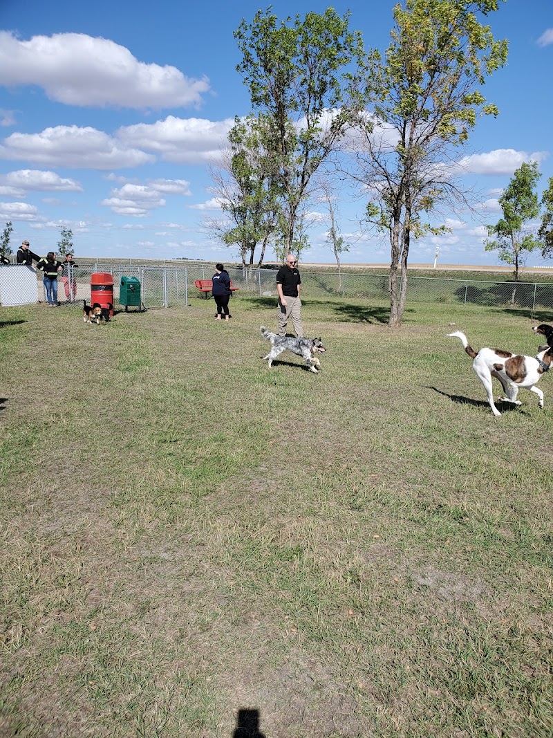 The Bark Park dog park in Rosetown, Saskatchewan