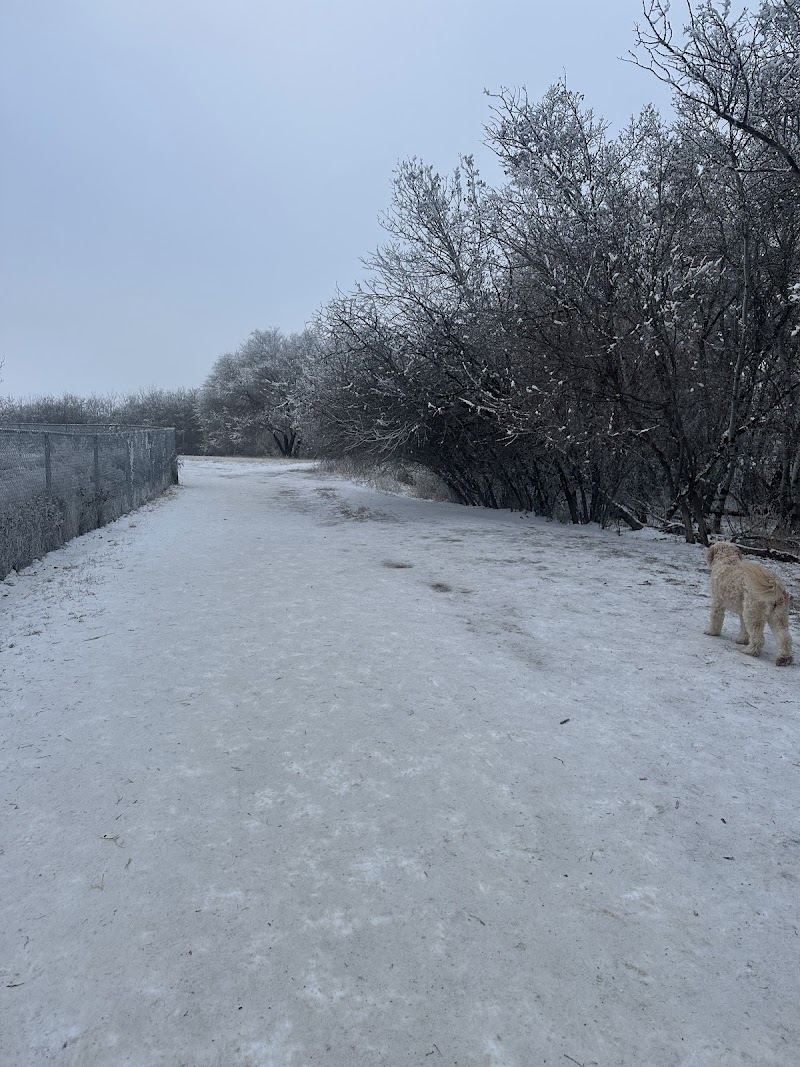 Avalon Dog Park dog park in Saskatoon, Saskatchewan