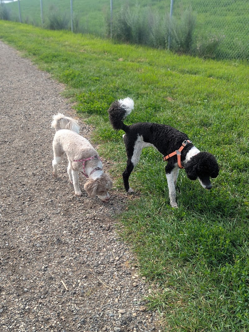 Avalon Dog Park dog park in Saskatoon, Saskatchewan
