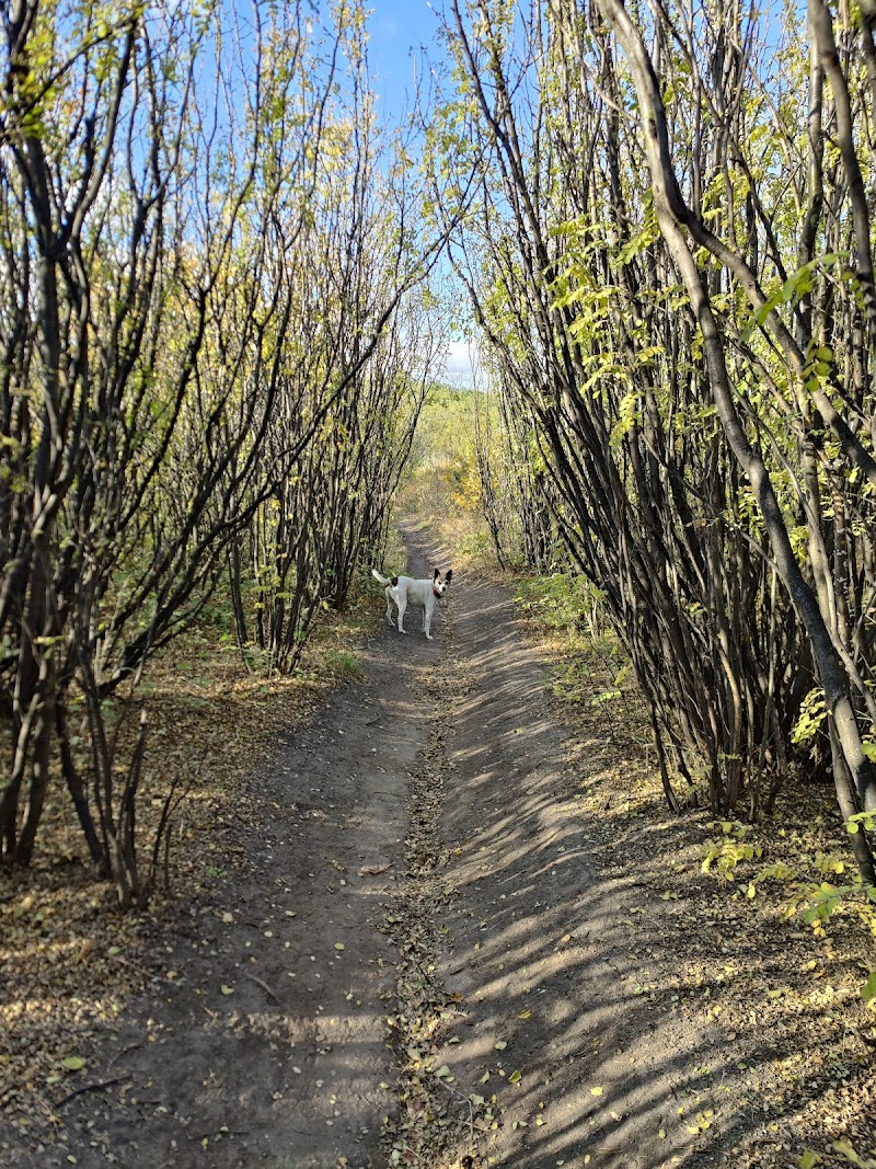 Sutherland Beach Dog Park dog park in Saskatoon, Saskatchewan