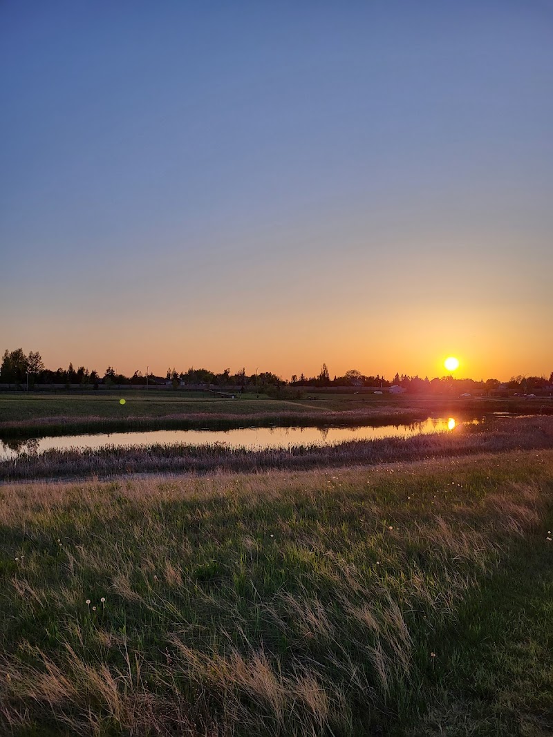 Hyde Park Dog Park dog park in Saskatoon, Saskatchewan