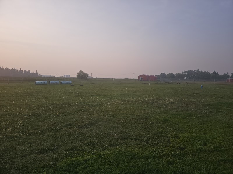 Wiggley Field Dog Park dog park in Yorkton, Saskatchewan