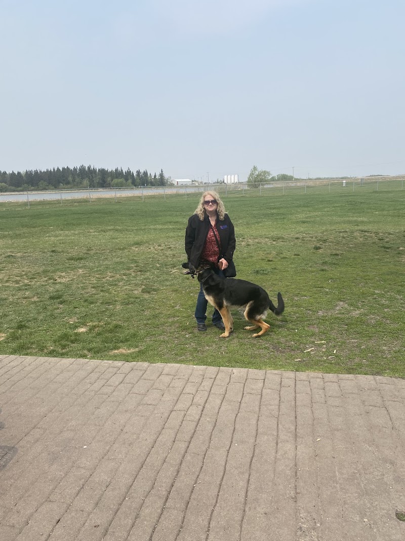 Wiggley Field Dog Park dog park in Yorkton, Saskatchewan