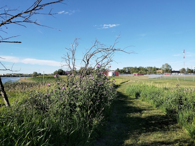 Wiggley Field Dog Park dog park in Yorkton, Saskatchewan