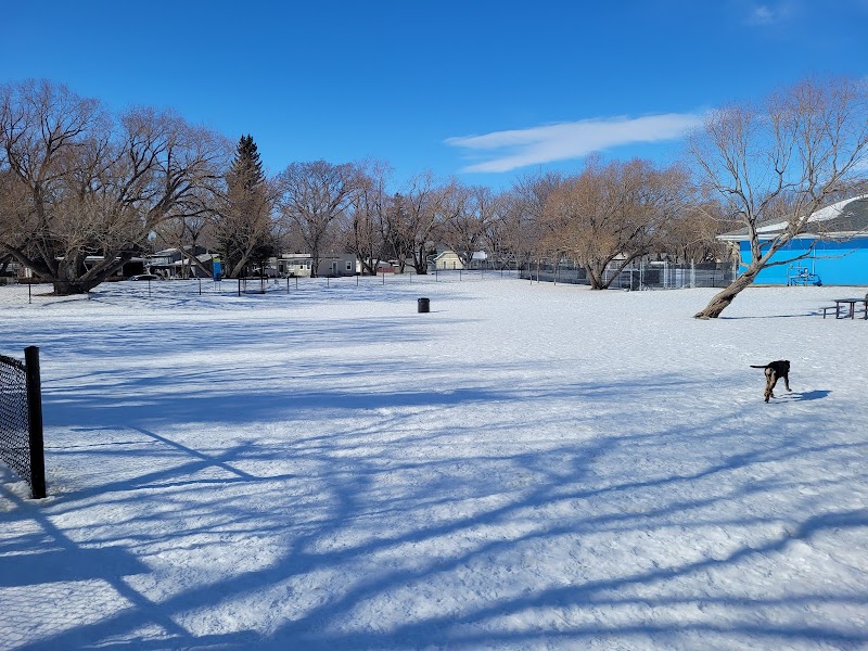 Caswell Dog Park dog park in Saskatoon, Saskatchewan