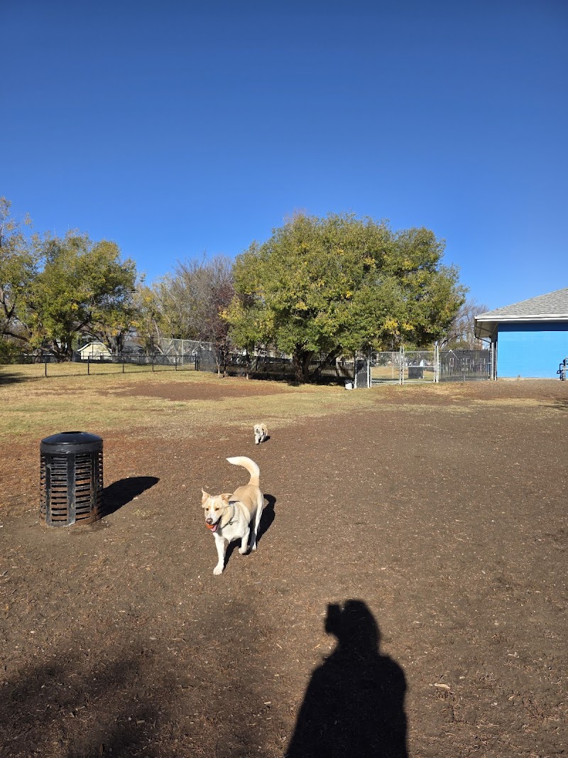 Caswell Dog Park dog park in Saskatoon, Saskatchewan