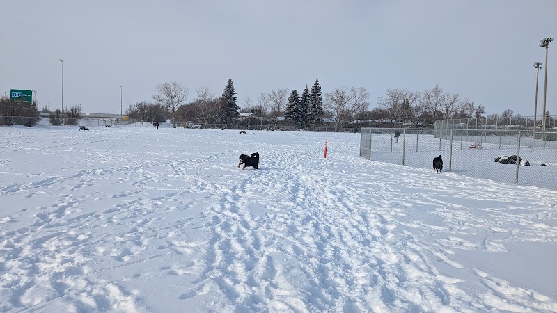 Mount Pleasant Dog Park dog park in Regina, Saskatchewan