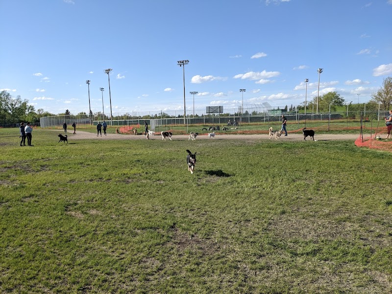 Mount Pleasant Dog Park dog park in Regina, Saskatchewan