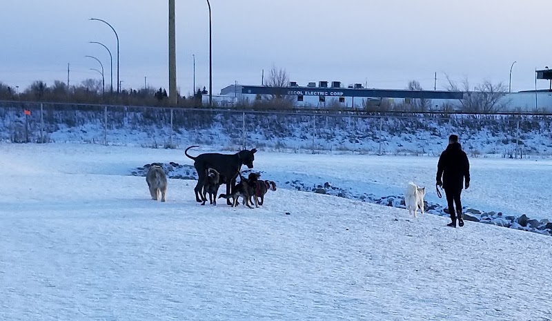 Ross Industrial Off-Leash Dog Park dog park in Regina, Saskatchewan