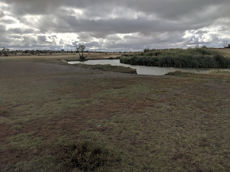 Cathy Lauritsen Memorial Off-Leash Dog Park dog park in Regina, Saskatchewan
