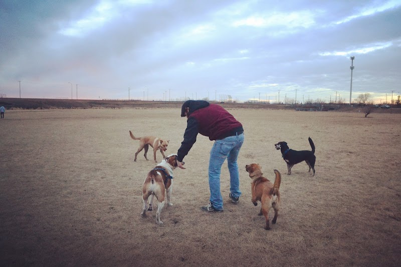 Cathy Lauritsen Memorial Off-Leash Dog Park dog park in Regina, Saskatchewan