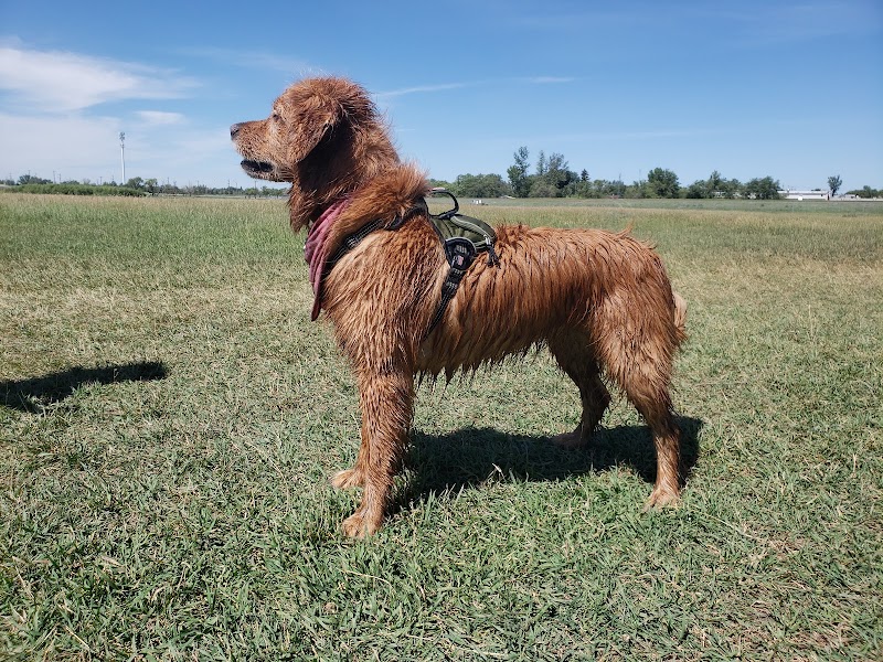 Cathy Lauritsen Memorial Off-Leash Dog Park dog park in Regina, Saskatchewan