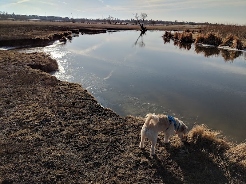 Cathy Lauritsen Memorial Off-Leash Dog Park dog park in Regina, Saskatchewan