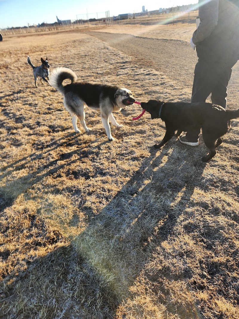 Moose Jaw Large Dog Park dog park in Moose Jaw, Saskatchewan