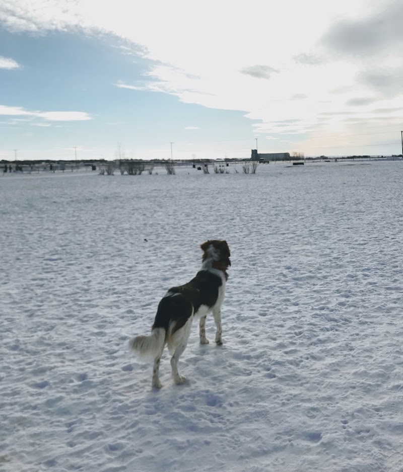 Moose Jaw Large Dog Park dog park in Moose Jaw, Saskatchewan