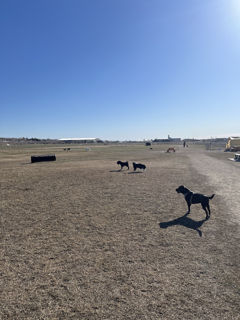 Moose Jaw Large Dog Park dog park in Moose Jaw, Saskatchewan