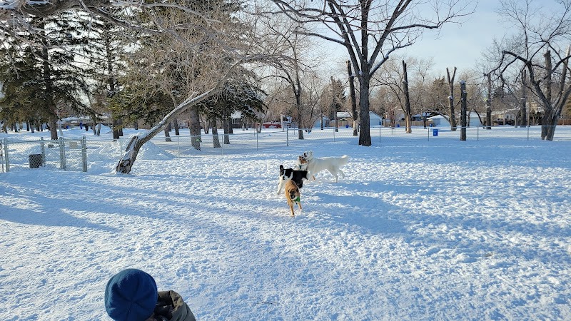 Māmowimīwēyitamōwin Park Off-Leash Dog Park dog park in Regina, Saskatchewan