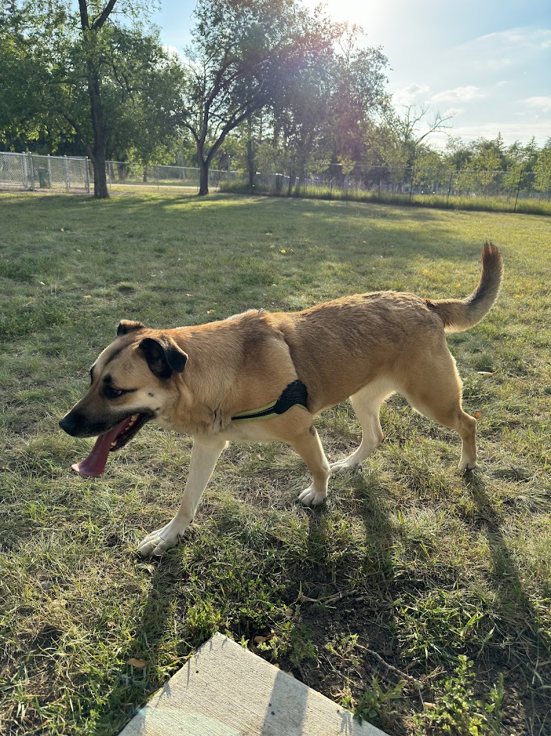Māmowimīwēyitamōwin Park Off-Leash Dog Park dog park in Regina, Saskatchewan