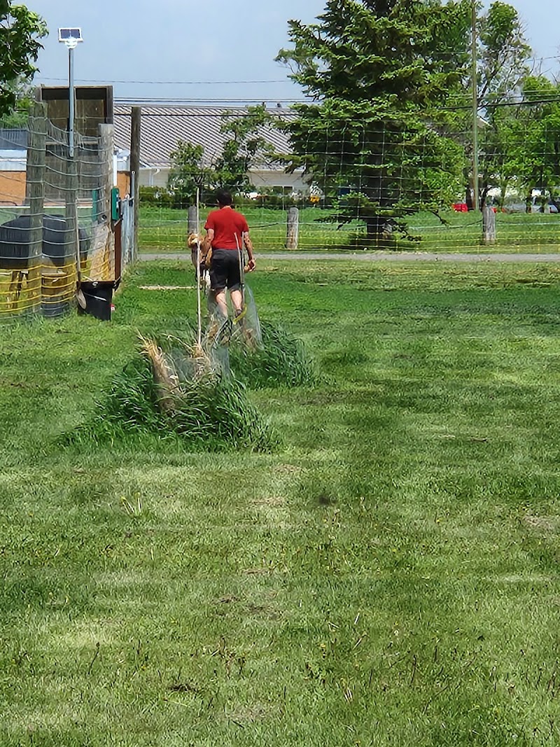 Weyburn Dog Park dog park in Weyburn, Saskatchewan