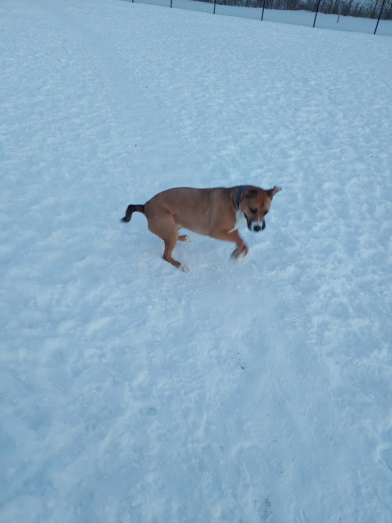 Fred Mendel Dog Park dog park in Saskatoon, Saskatchewan